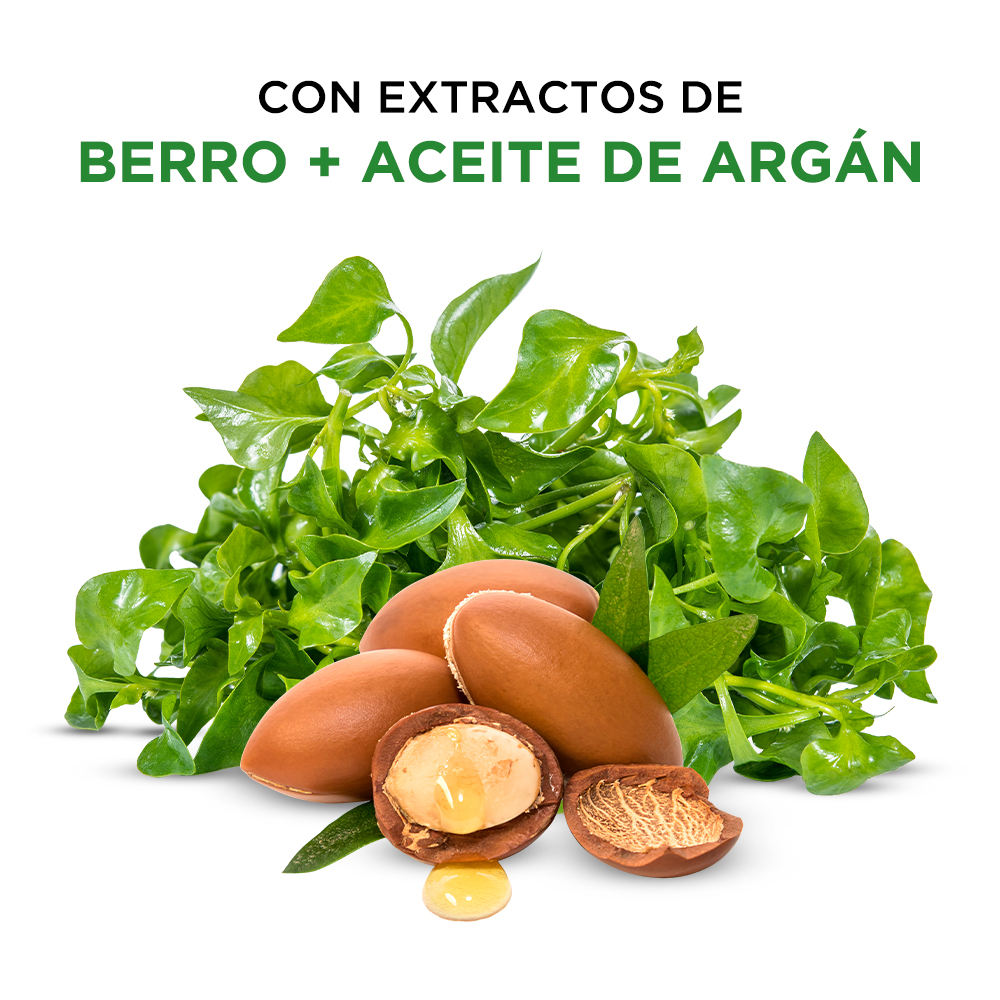 DOYPACK ESPAÑOL TRATAMIENTO BERRO & ARGÁN (UNIDAD)                    