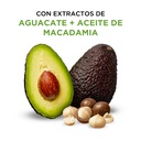 LITRO SHAMPOO AGUACATE & MACADAMIA