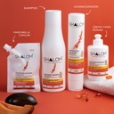 PACK INGLÉS LÍNEA COMPLETA SAPUYULO & BIOTINA                         