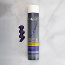 SHAMPOO PLATINADO 12 ONZ                                              