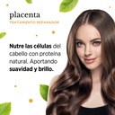 AMPOLLA PLACENTA 18 ML                                                